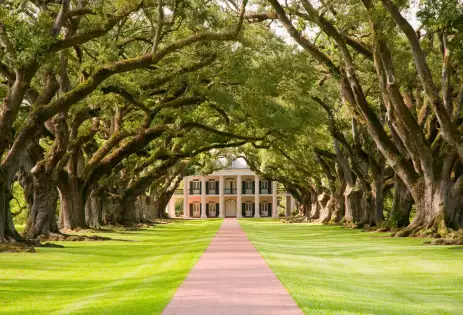 The Oak Alley Plantation in Vacherie, Louisiana